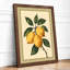 Lemon Branch in Gold Botanical - Framed Print-1156709064-1156709075