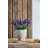 Jeren Pot Planter-506766154