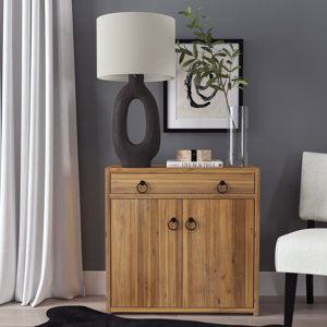 Elin Door Accent Cabinet & Reviews | Joss & Main