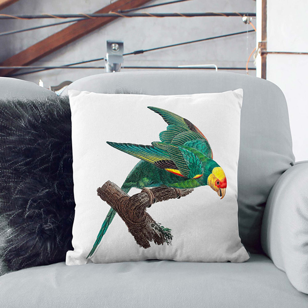 Crowned Parakeet by F. Levaillant Cushion with Filling