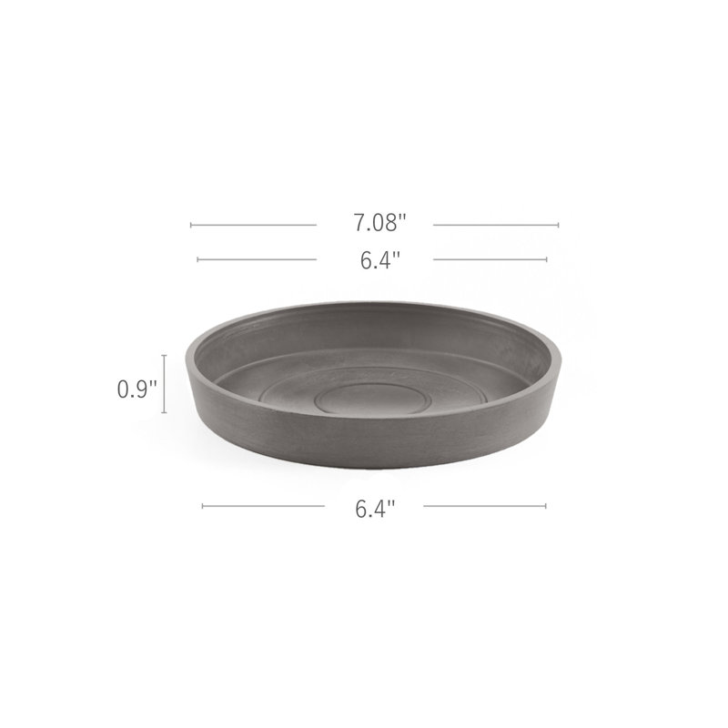 Saucer Plant Stand, 1" H x 7" W x 7" D