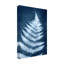 «Bay Isle Home ™», toile de fougère à feuilles de cygne de Jason Johnson IV WAG37664-1603402935