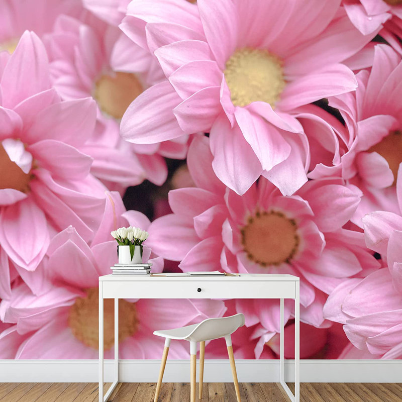 Gros plan sur un champ de fleurs de marguerites roses, L 100 po x l 144 po