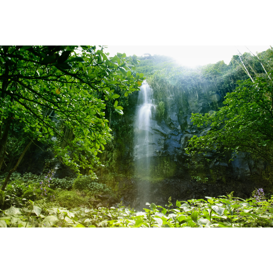 Friedlicher Wasserfall von AfricaImages - Leinwandbild