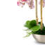 Abrienne RealTouch Orchid Arrangement-368793359