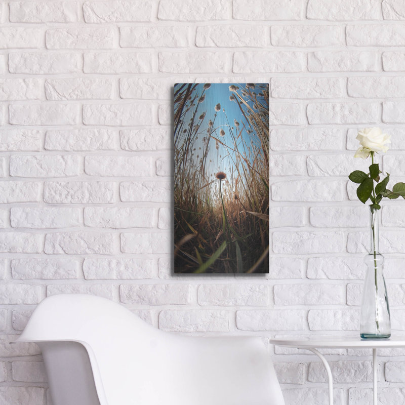 Art mural Laurel Foundry Modern Farmhouse® «Daydream» par Decent Exposures