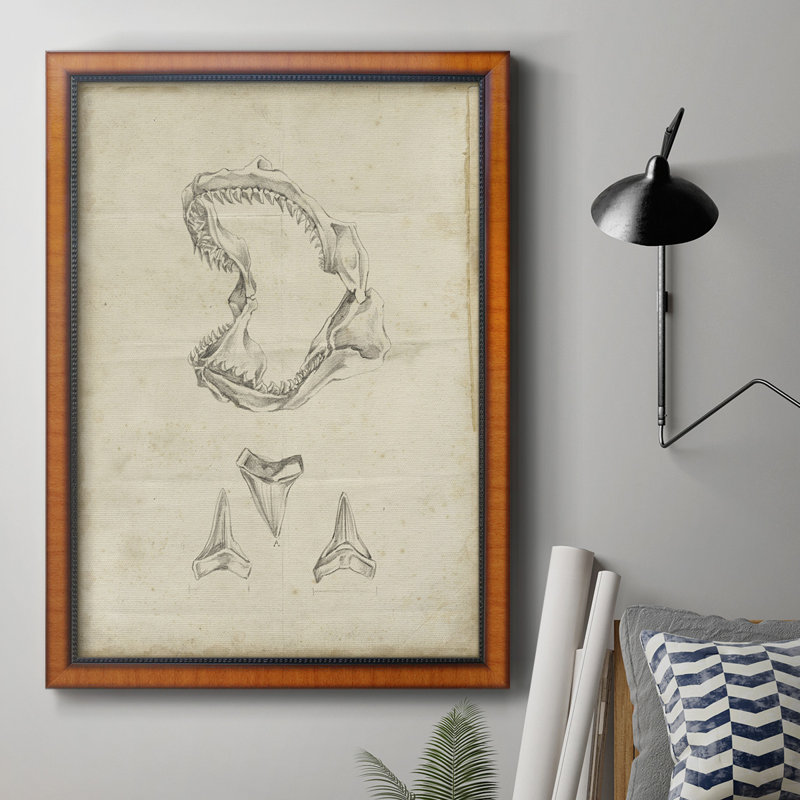 " Shark Study II ", 20" H x 16" W