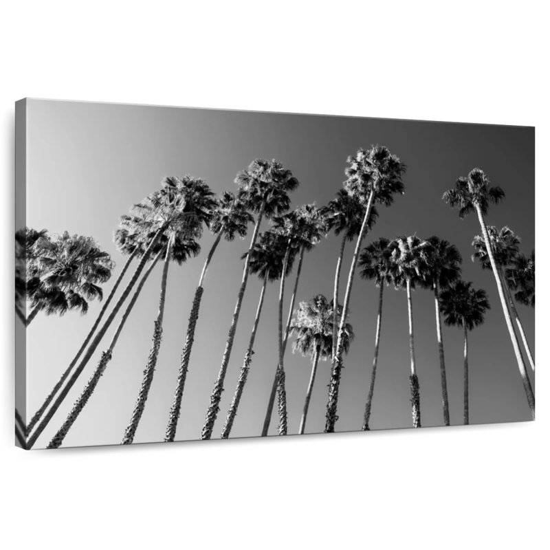 Harnek - Californie noire - Famille de palmiers, H 24 po x l 36 po