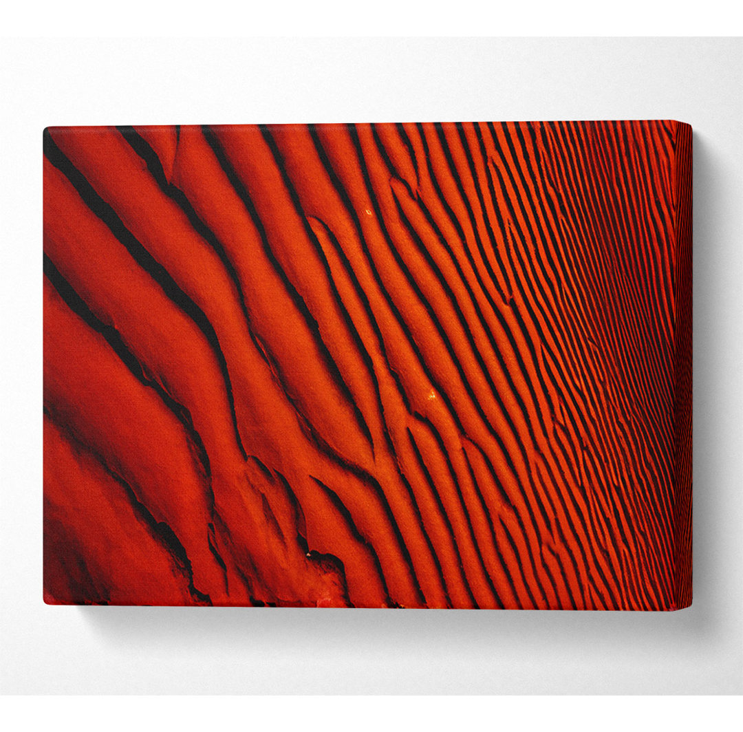 Wüstensand in gebranntem Orange - Kunstdrucke auf Leinwand - Wrapped Canvas