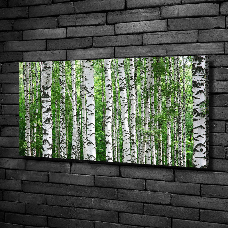 Birches - No Frame Print on Canvas