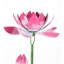 Piquet de jardin Mishon