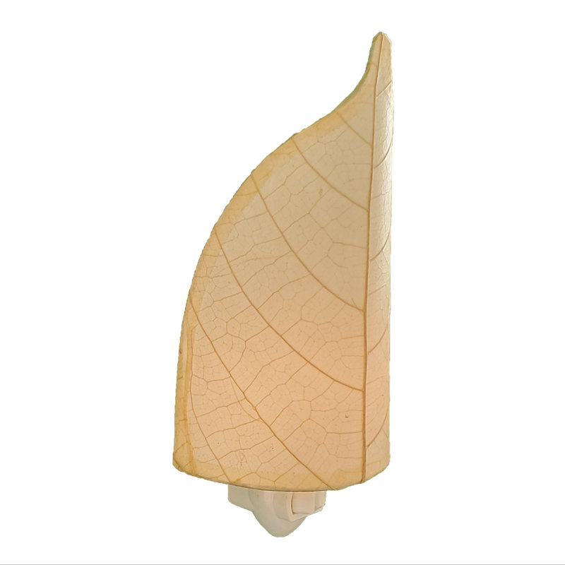 Veilleuse feuille, Naturel