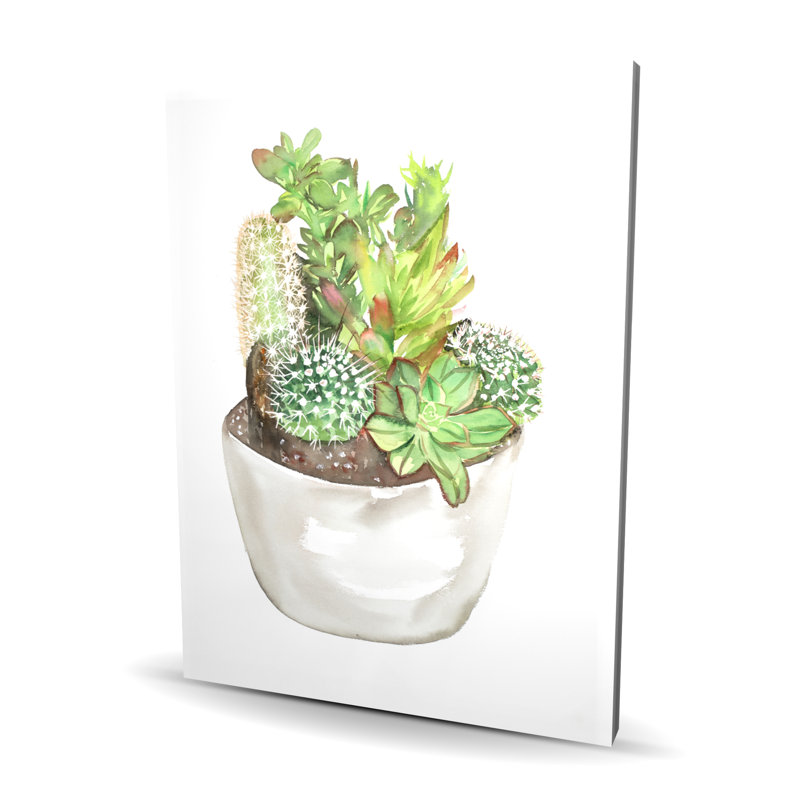 Assortiment de cactus dans un pot - Feuilles de cuisine, décoration sur toile