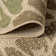 Hagy Modern Floral Textured Weave Sage/Brown Indoor/Outdoor Rug