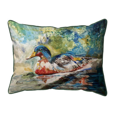Coussin coloré