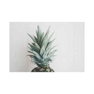Pineapple Top II 1 Piece Wrapped Canvas Painting