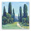 «Cypress Path II» par Tim O'Toole, art mural en verre acrylique-647867007