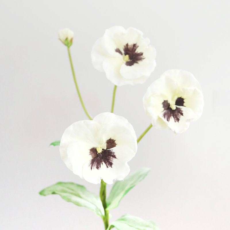 fausse pensée blanche 21 po, White