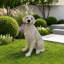 Statue de chien Labrador d'extérieur