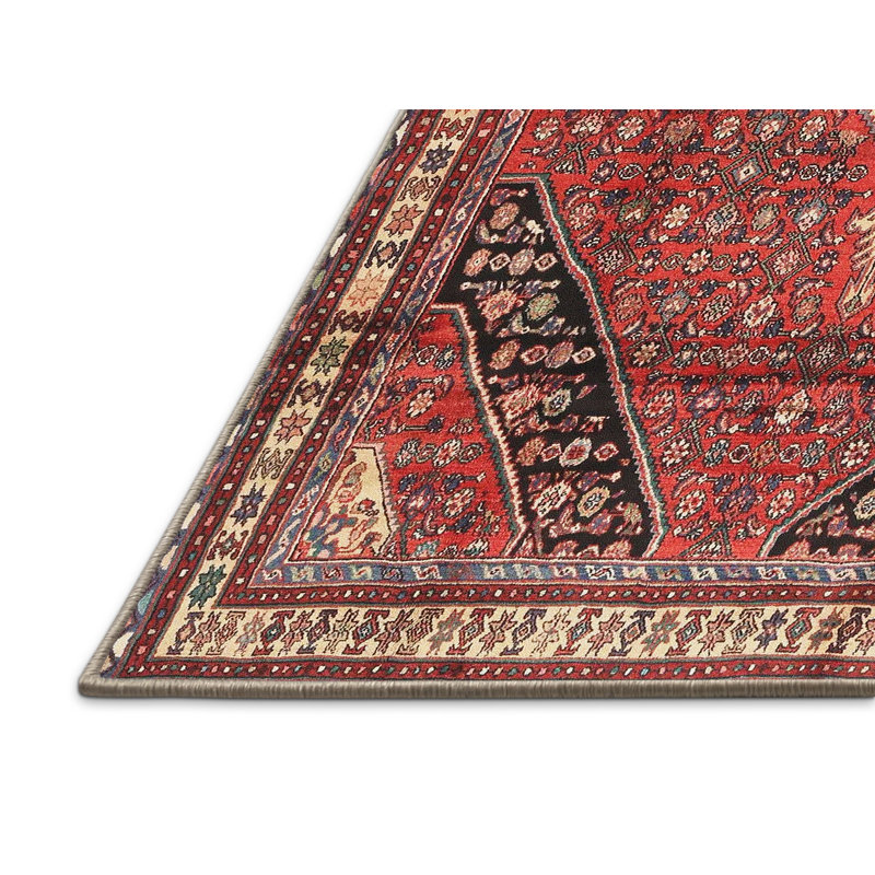 Oriental Indoor Rug, Rectangle 2' x 4'
