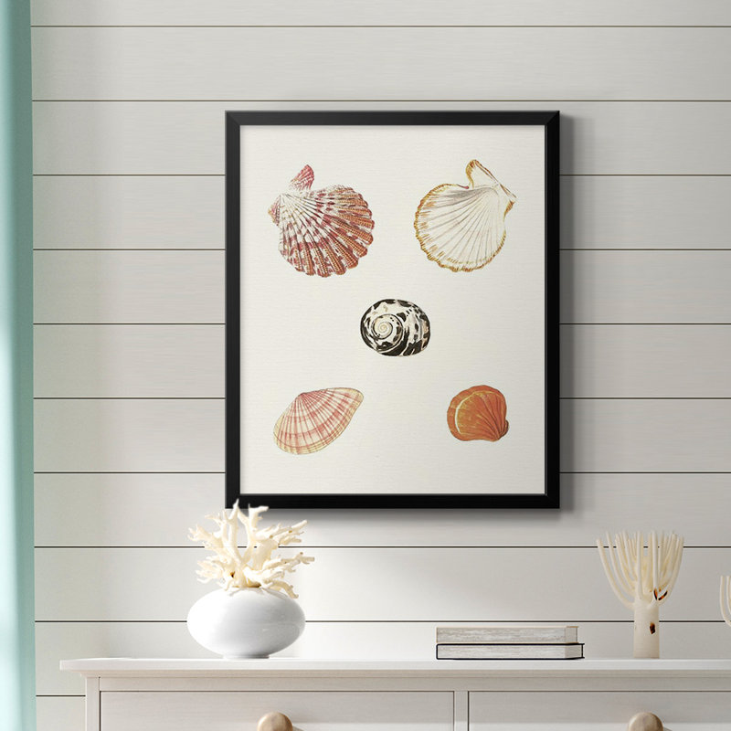 Toile encadrée Pastel Knorr Shells, H 24 po x l 20 po, Noir