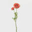 Ranunculus Faux Floral-1373698712