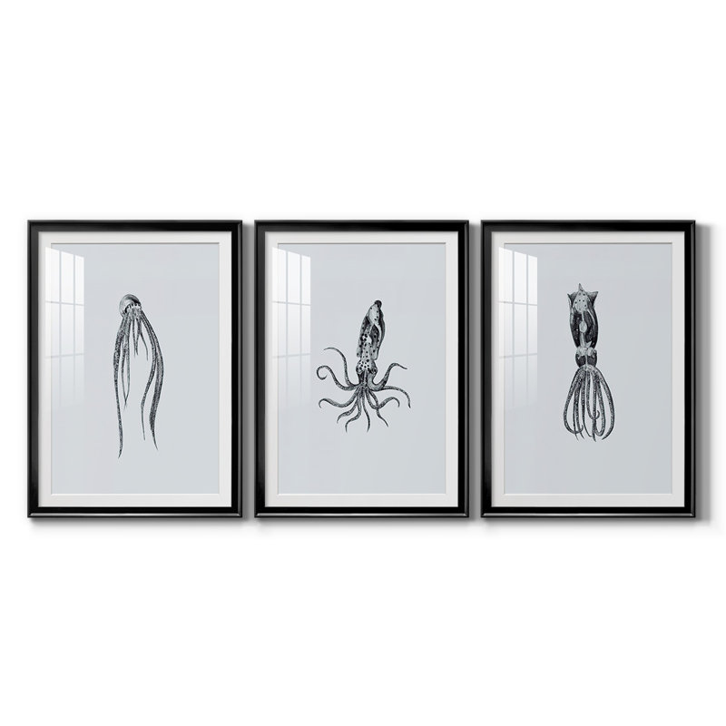 Marine Life I, reproduction encadrée de qualité supérieure - prête à être accrochée, H 30,5 po x l 45 po, Cadre noir