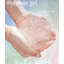 Niche pour chien-99204677