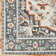 Aldusa Oriental Indoor Rug