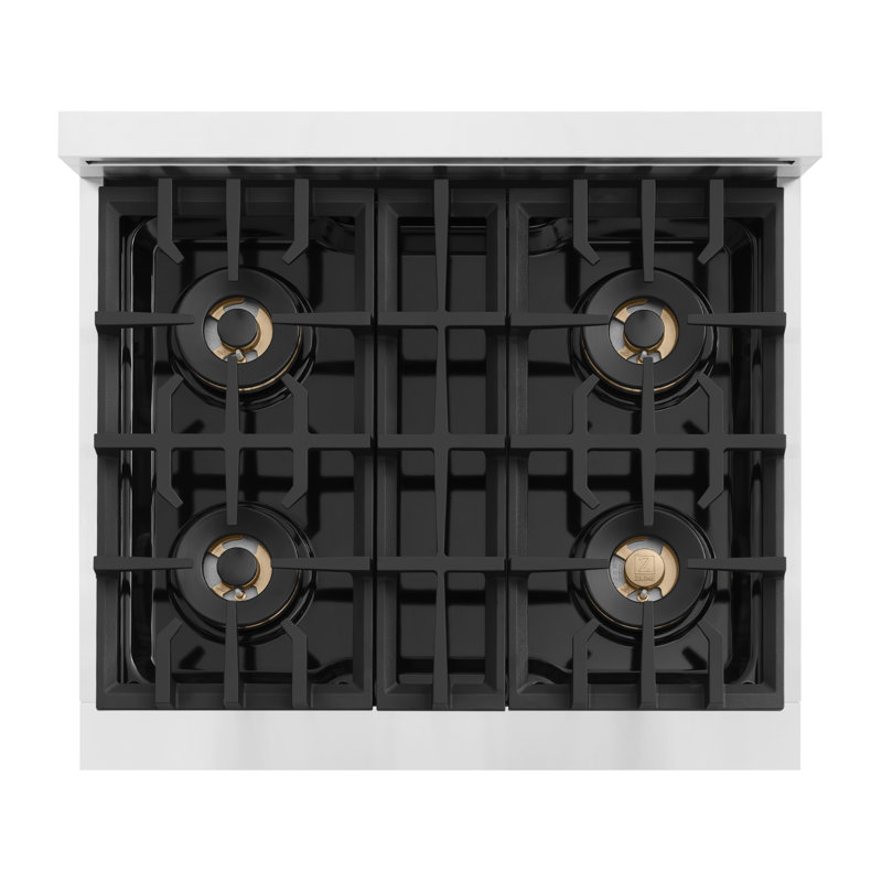 ZLINE 30 in. Classic Gas Range with DuoPro Cooktop and Convection Oven in Black Stainless Steel, Stainless Steel, Dual Fuel