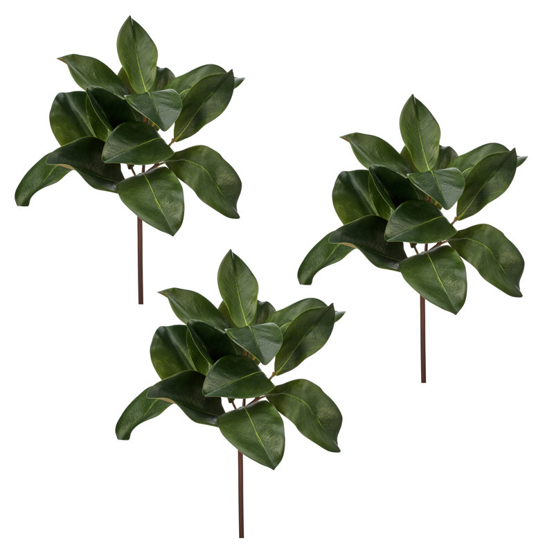 Vaporisateur de feuilles de magnolia 16 po Natural Touch