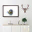 Grey Seal - Framed Print-55608899-55608900