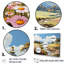 «Ephemeral Serenity Meadow I», reproduction d'art sur toile-301646553-301646558