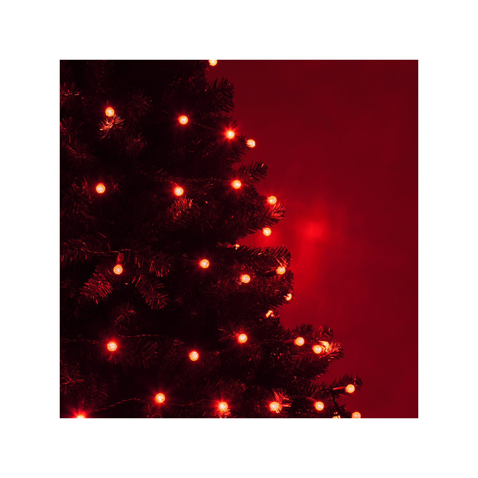 70 Light LED Mini Globe String Lights, Red