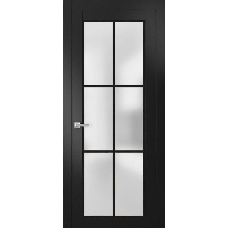 Porte française solide | Verre givré Planum 2122 | Poignée simple à panneau régulier | Portes de salle de bain robustes, Noir