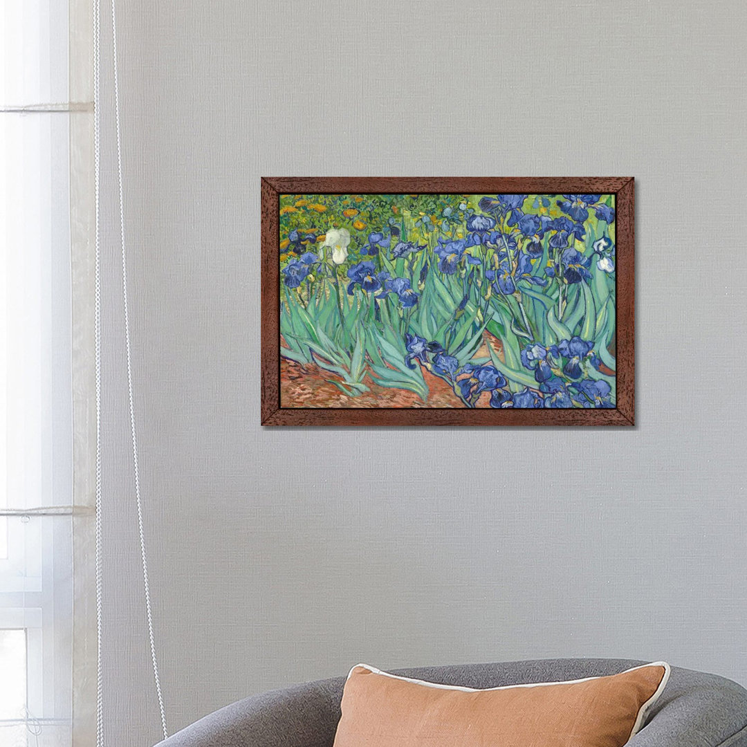 Irises, 1889 by Vincent Van Gogh - Painting Print on Canvas