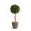 Alby Faux Boxwood Topiary in Planter