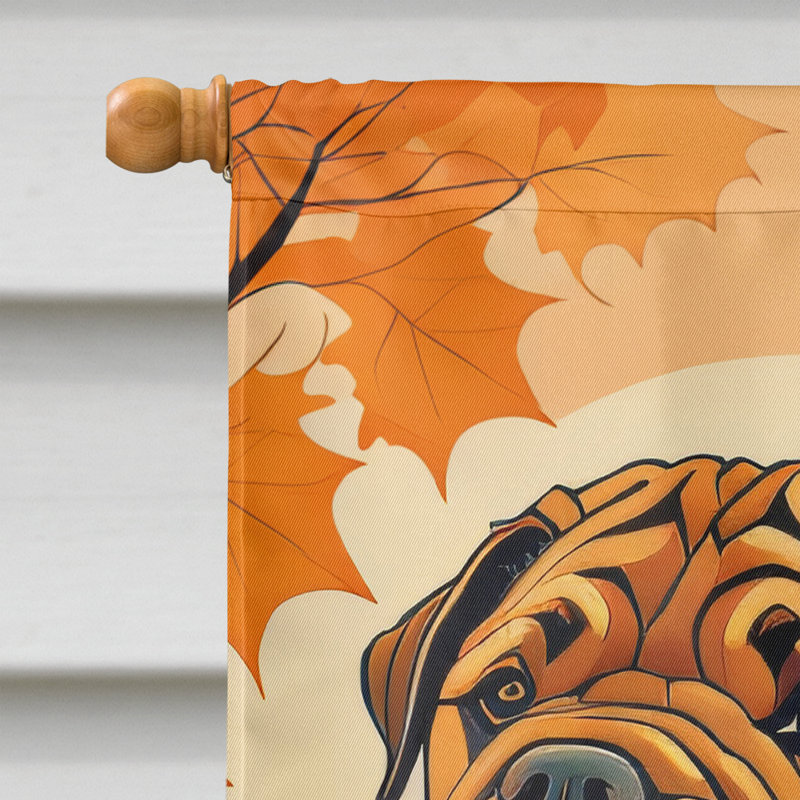 Drapeau de maison en polyester à double face H 40 po x l 28 po
