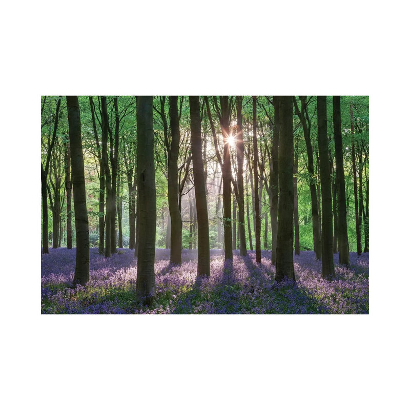 Wildflower Woodland II by Adam Burton - Wrapped Canvas Print, 20.32 cm H x 30.48 cm W