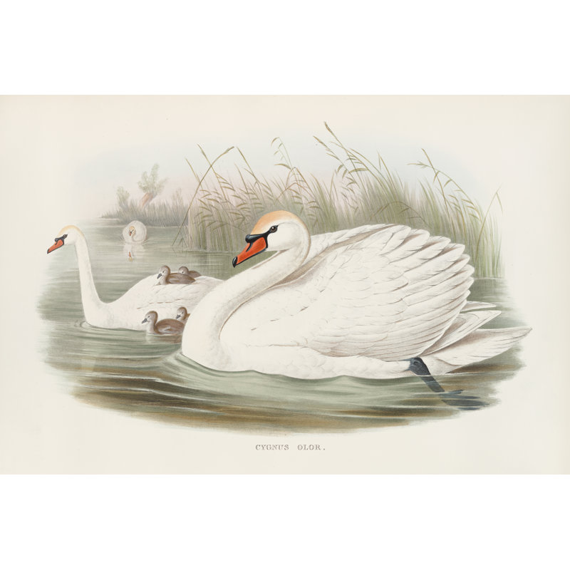 Lac des cygnes sur toile, H 8 po x l 12 po