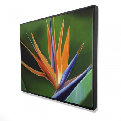 " Bird Of Paradise Flower "