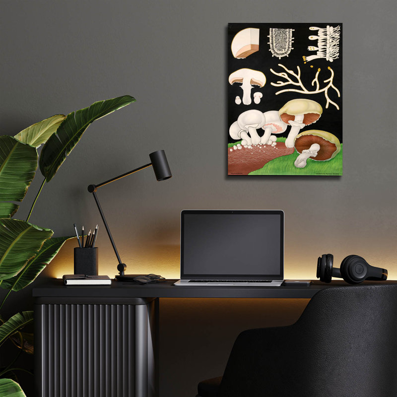 "Champignons" par Vintage Posters, H 16 po x l 12 po x P 0,13 po