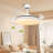 Ceiling Fan with LED Lights