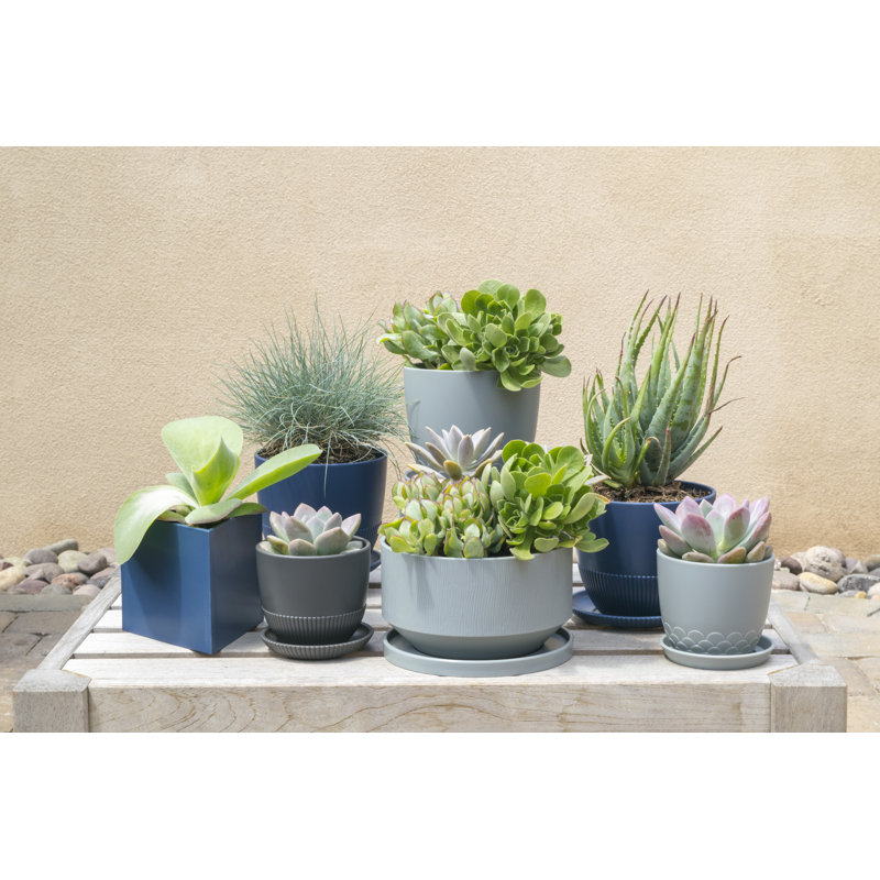 Emalina Pot Planter, Blue