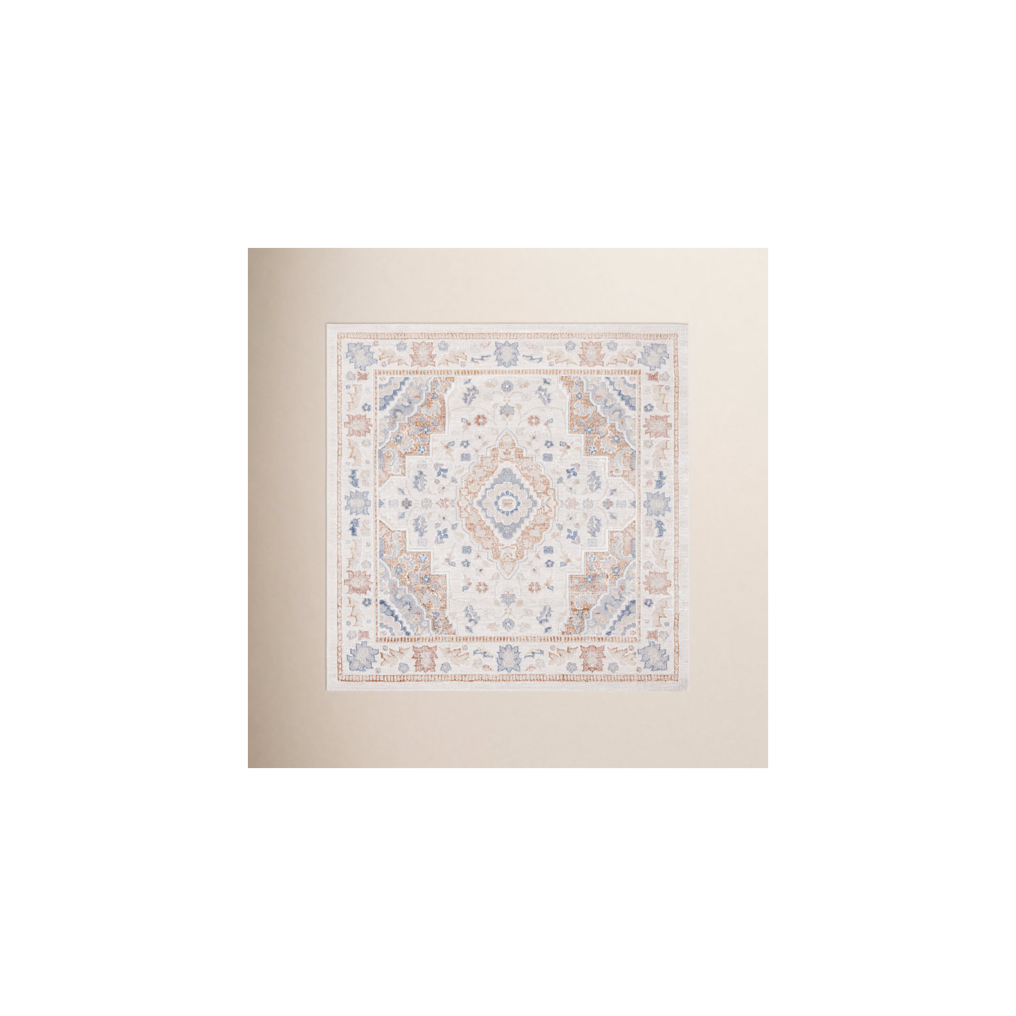 Mayhill Oriental Area Rug in Beige/Rust/Blue, Rectangle 9' x 12'
