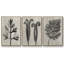 Blossfeldt Botanical I 3 pièces-97758448-97758449
