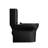 Rainlex 1.05 Gallons GPF Comfort Height