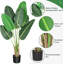 Plant-1598778490-1598778484
