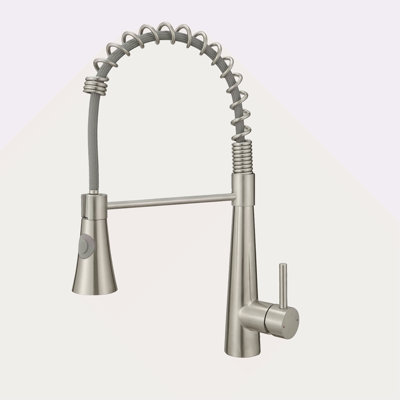 Robinet de cuisine commercial avec douchette extractible, robinet d'évier de cuisine à poignée simple