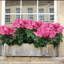 4 pièces Fleurs de coing artificielles pour fleurs en soie d'extérieur-1707750939